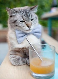 电竞选手职业化发展路径日益多元化，电竞选手发展前景