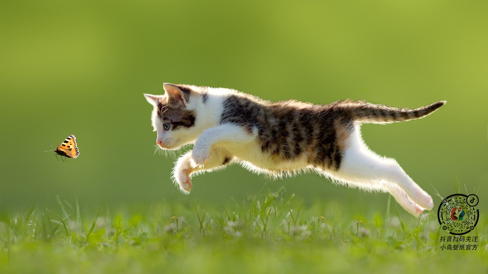 九游体育下载-足球+智能硬件结合，比赛装备科技感十足，足球技术展示