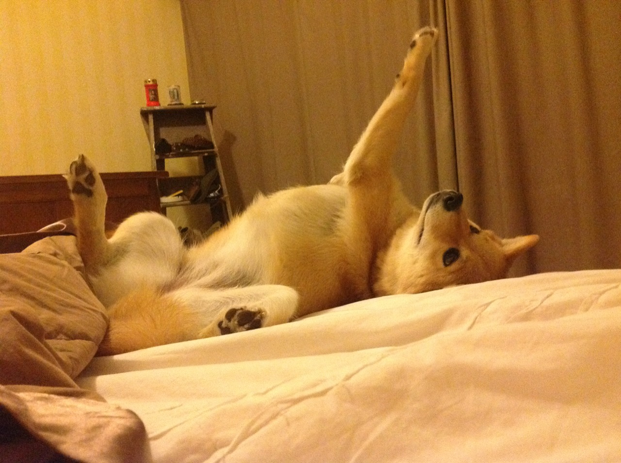 足球青训球员心理健康项目系统启动，足球运动员的心理训练