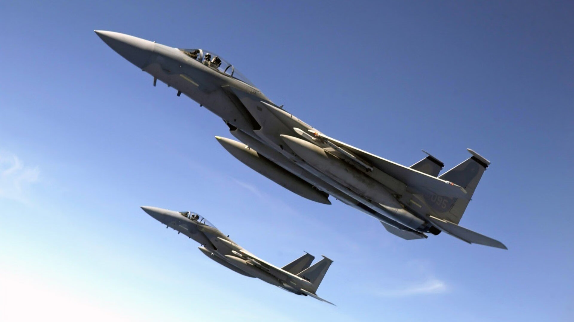 高山植物探索行，结合运动与科普教育，高山植物对环境的适应机制