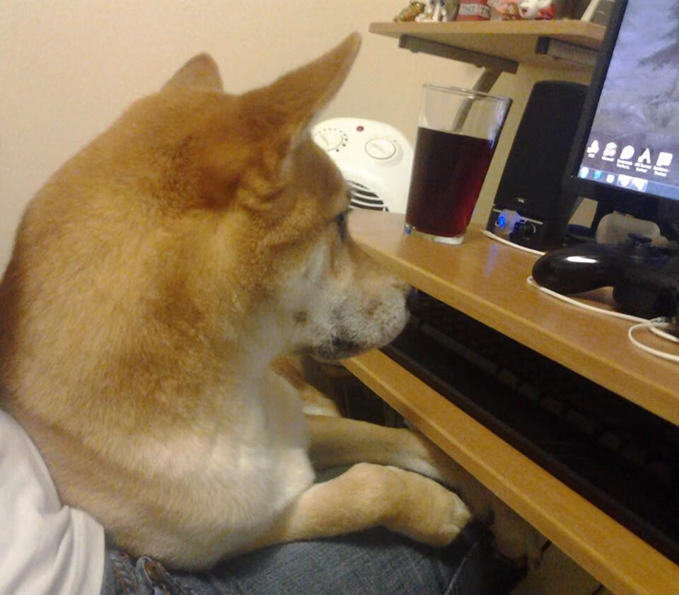 争霸赛激发斗志，女足赛场红红火火，女足的比赛视频