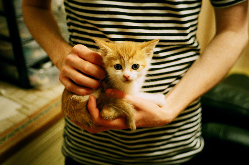 九游游戏-体育连续保持多场联赛不败，体育连续保持多场联赛不败的原因