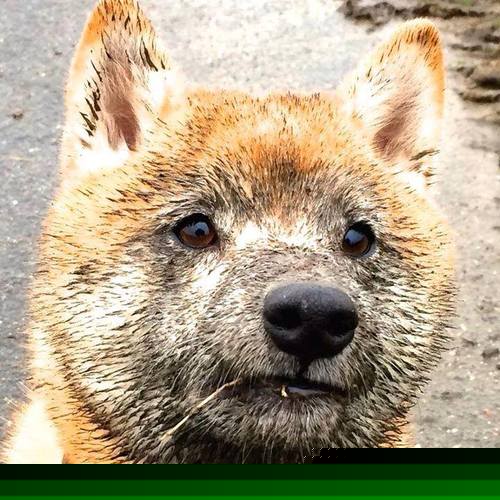 中国足球区域控球比率统计图，中国足球控球最厉害的是谁