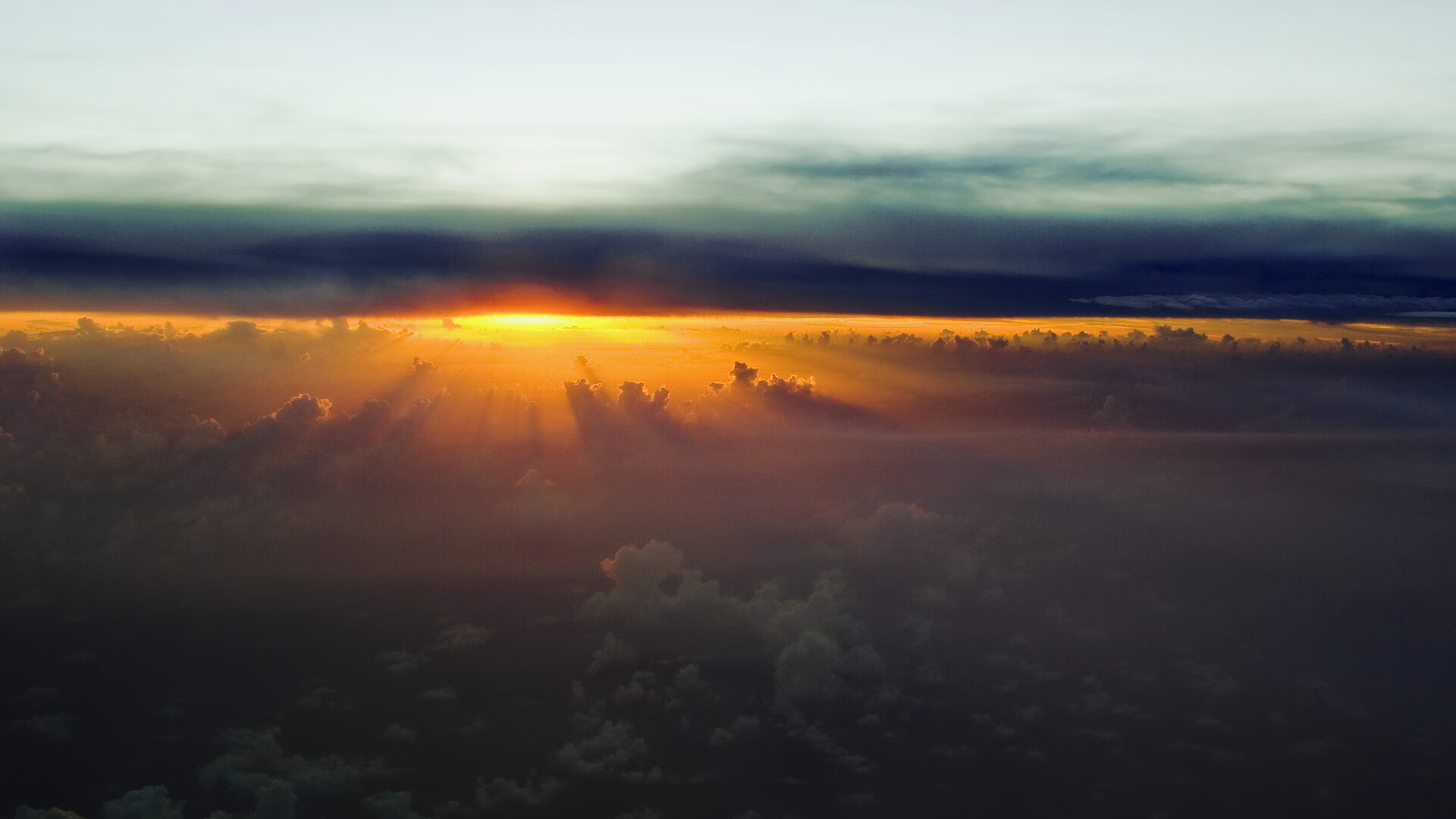 高校体育专业实践教学模式改革与成效分析,高校体育实践教程