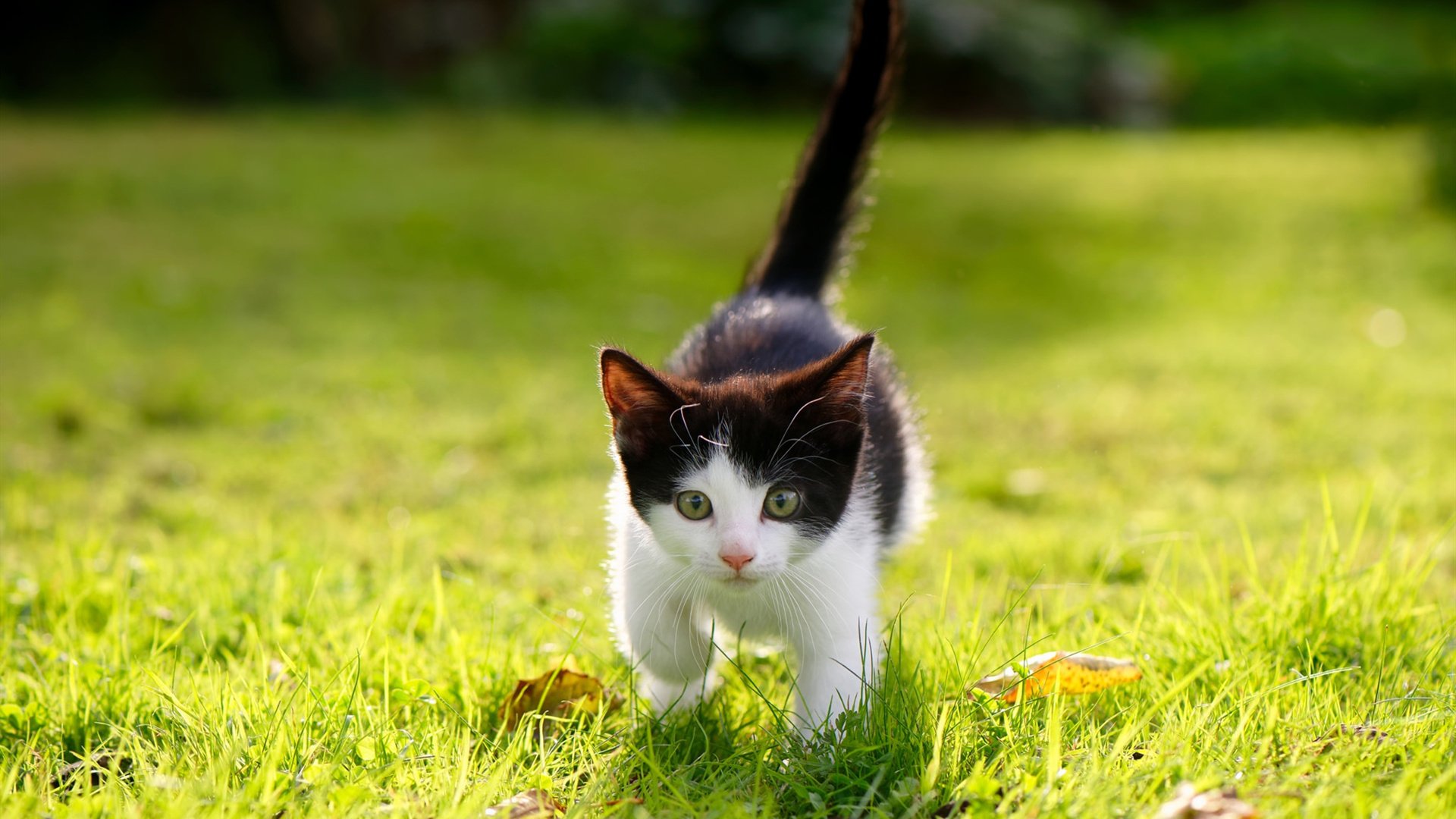 九游娱乐-东亚杯中国女足惨败 球迷呼吁加强基础训练，女足东亚杯首胜