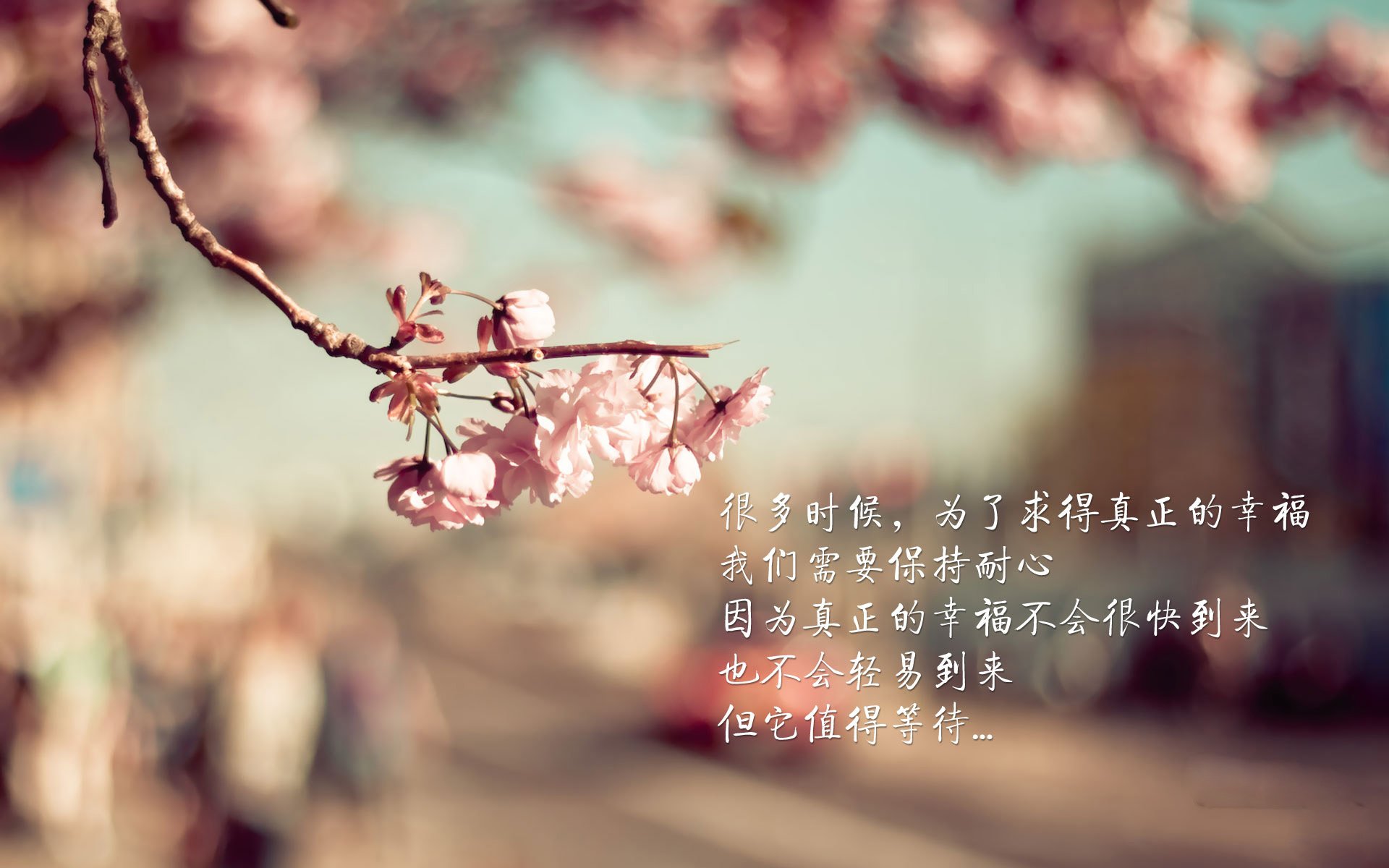 东亚杯国足逆袭 球员技术明显进步,东亚杯国足成绩