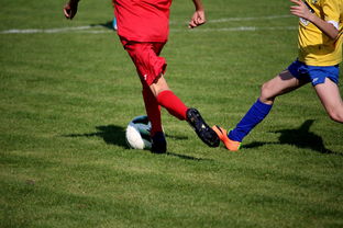 九游体育娱乐-国家体育场馆运营管理论坛探讨智能化方向，国家体育总局体育场馆运营管理办法